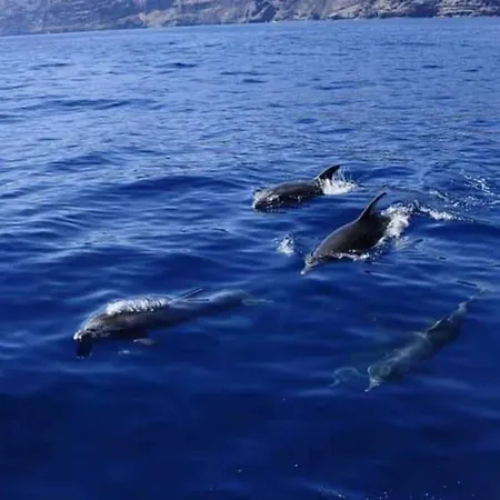 Апартаменты Cerca De La Playa Сантъяго-дель-Тейде