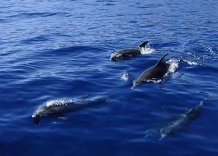 아파트 Cerca De La Playa 산티아고 델 테데